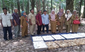 Monitoring Bantuan Alat Pasca Panen Karet